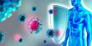 Immune & Inflammation Support